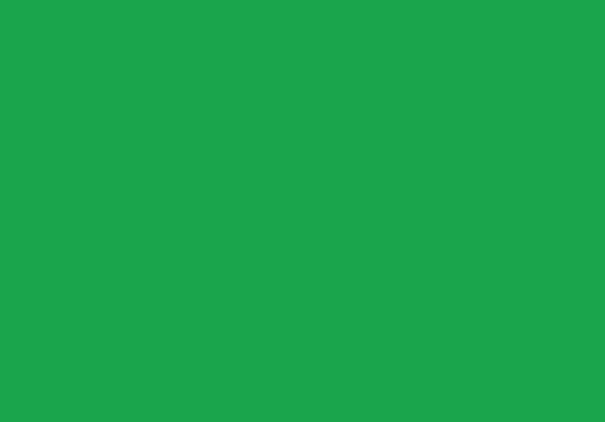 Polypropylen verde brillante